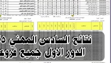 بالرقم السري.. نتائج السادس مهني 2025 الدور الاول كافة فروعة 17 نتائج السادس مهني