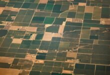 استمارة التقديم على قطع اراضي في محافظة بغداد التقديم على قطع الأراضي للمتقاعدين 2025 في العراق