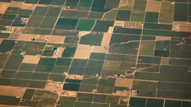 استمارة التقديم على قطع اراضي في محافظة بغداد التقديم على قطع الأراضي للمتقاعدين 2025 في العراق