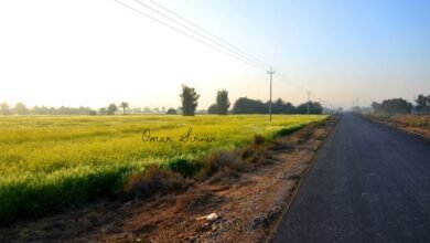 قطع أراضي للمدرسين والمعلمين