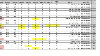 نتائج السادس الابتدائي 2025 الدور الثاني في العراق: كل ما تحتاج معرفته 13 نتائج السادس الابتدائي 2025 الدور الثاني في العراق