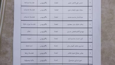 IMG 20251029 213241 856