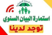 استمارة تحديث البيان السنوي للرعاية الاجتماعية 2026 17 images 1