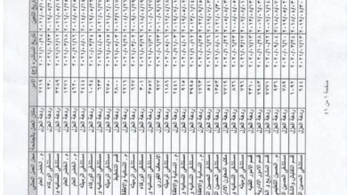 IMG 20251204 204735 390