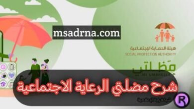 IMG 20260208 222659 056